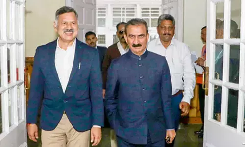 HC nixes Himachal govts plea for more time; directs it to hold panchayat, ULB polls by April 30