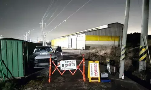 South Korea reports new bird flu case at poultry farm, total now at 34