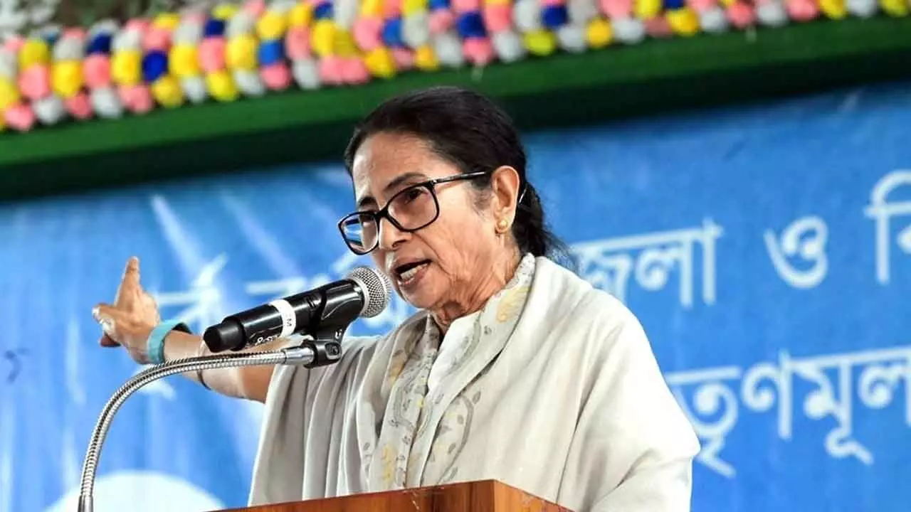 ED raids meant to nick TMC strategy data, asserts Didi ED raids meant to nick TMC strategy data, asserts Didi