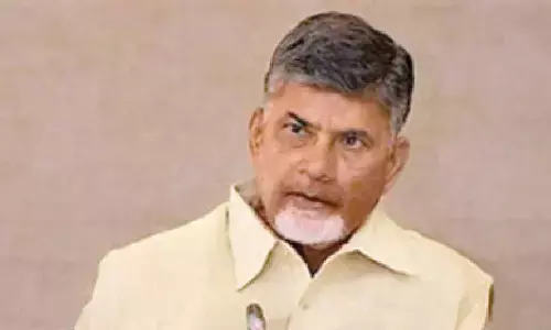 Naidu to lead statewide bureaucracy review on GSDP