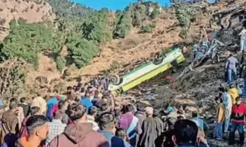 14 killed as bus falls into gorge in Himachal