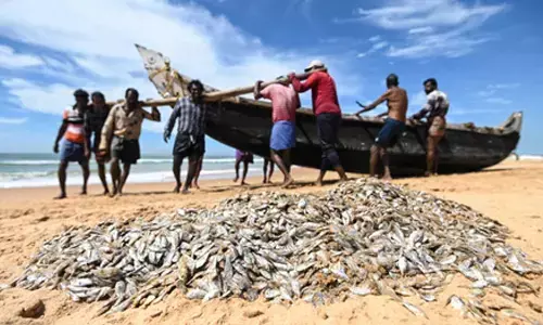 Govt doubles down on structured skilling for fish farmers, 22,921 benefitted Govt doubles down on structured skilling for fish farmers, 22,921 benefitted