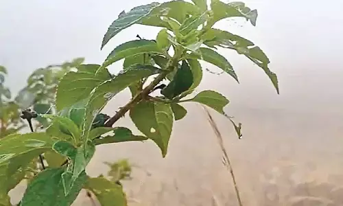 Odisha shivers as mercury dips to record lows