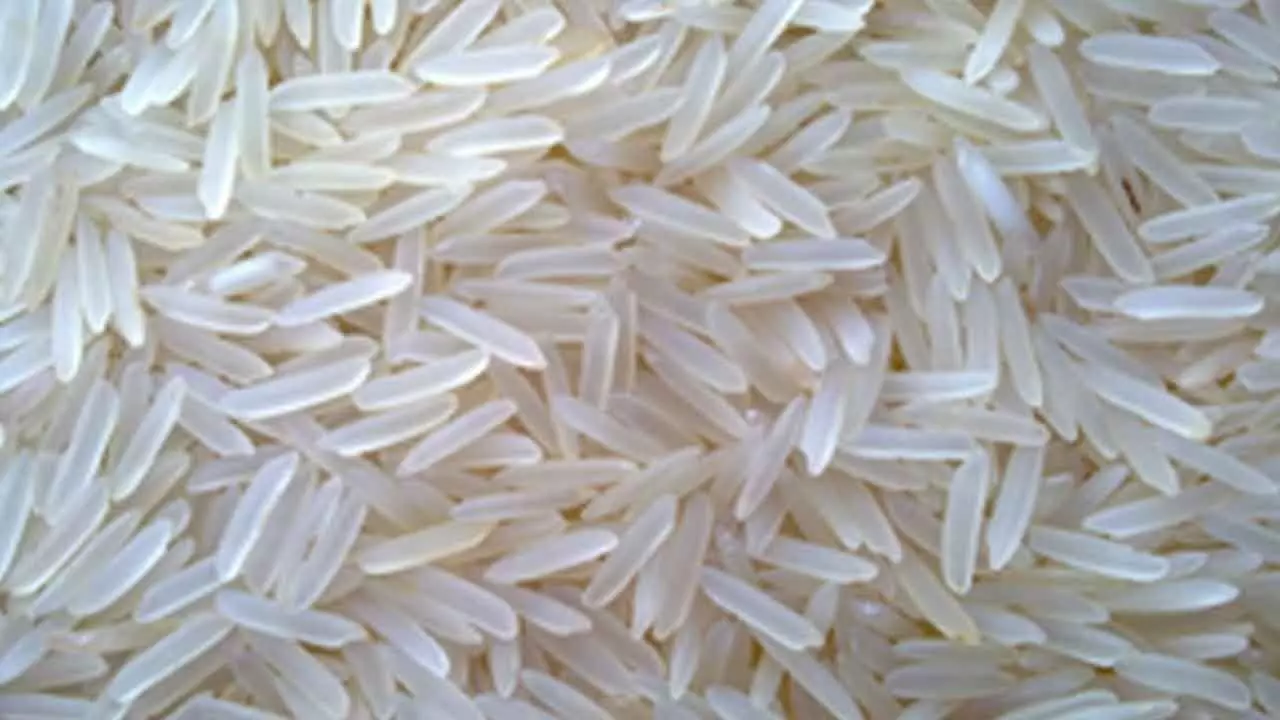 Healthier Rice Choices for Diabetics Healthier Rice Choices for Diabetics