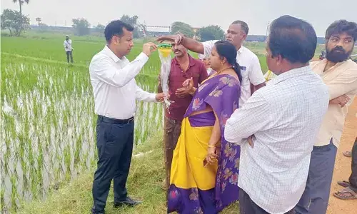 Farmers told to adopt latest tech in cultivation Farmers told to adopt latest tech in cultivation