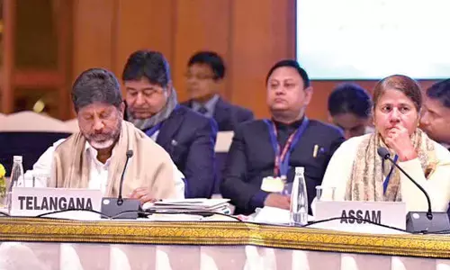 Bhatti pours out financial woes of state before FM