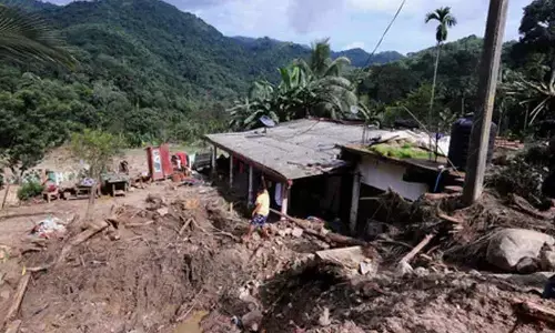 Sri Lanka orders one-week restoration of elephant fences damaged by Cyclone Ditwah