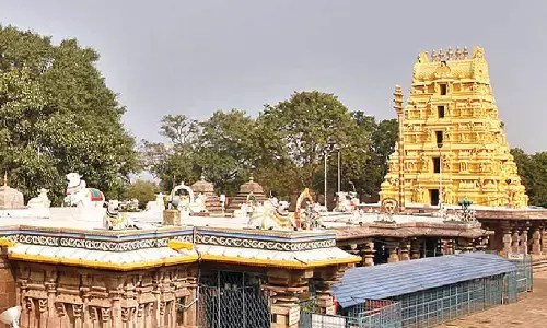 Seven days Makar Sankranti Brahmotsavams from today