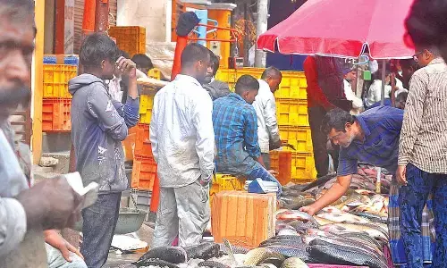 Sankranti exodus dries up business at Musheerabad fish market