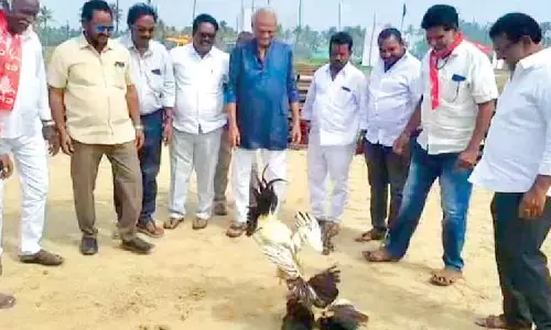 Bhimavaram resonates with Sankranti fervour