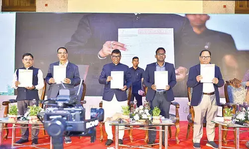 Positioning bamboo as driver of green economy