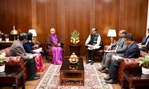 Shivraj Singh Chouhan discusses agriculture, rural development with FM Sitharaman