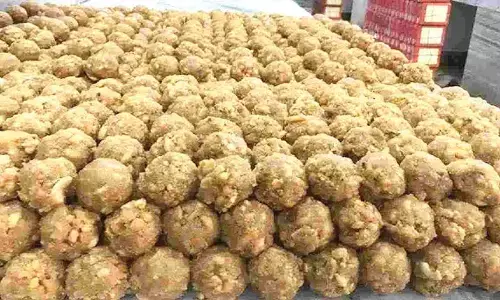 Tirumala laddu ghee case enters final stage!
