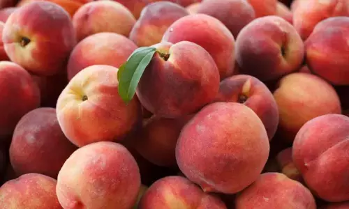 Try this recipe to celebrate national peach melba day