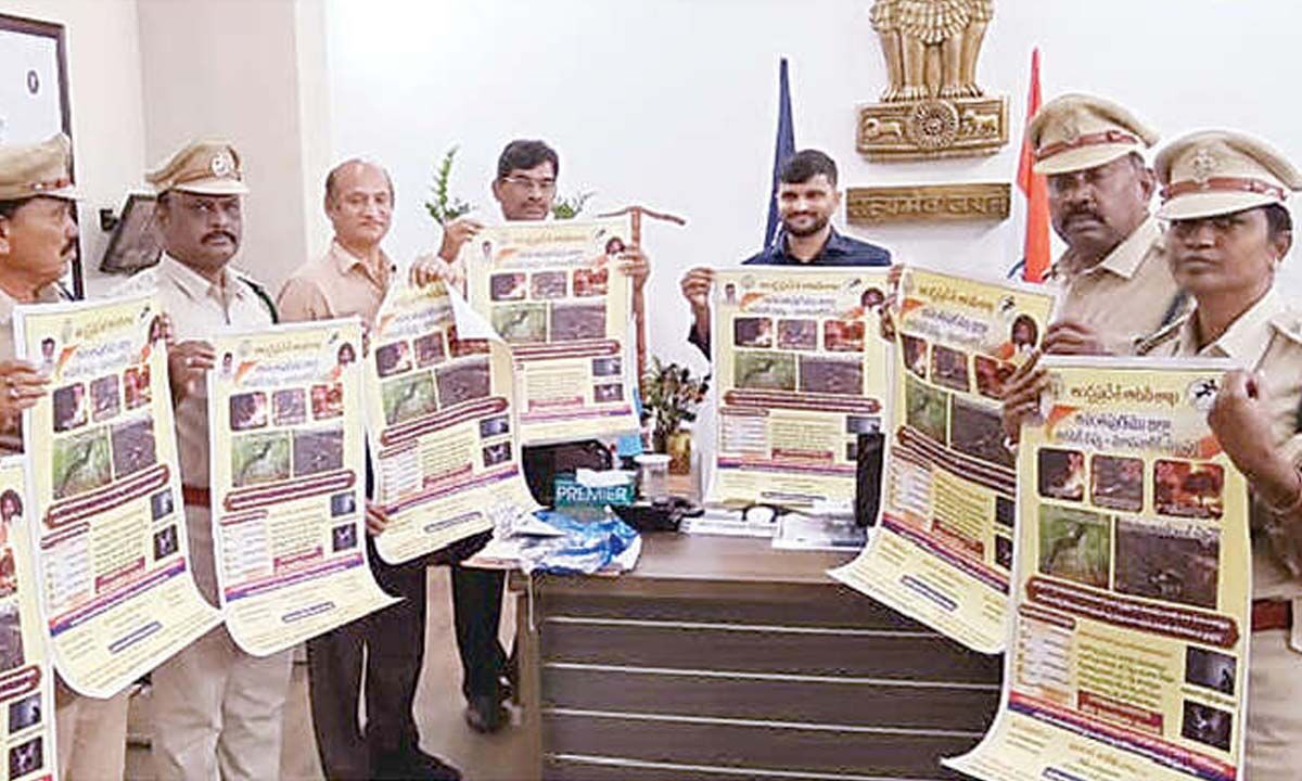 Collective responsibility to protect forests: Collector