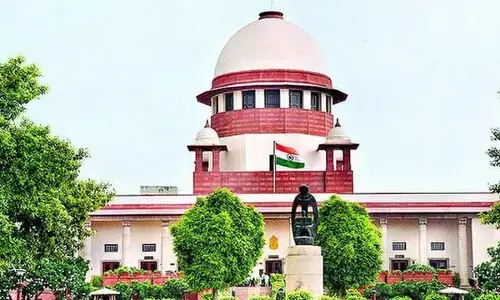 For every bite, you pay: SC’s big warning to states on dog menace For every bite, you pay: SC’s big warning to states on dog menace