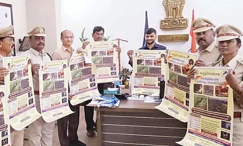 Collective responsibility to protect forests: Collector Collective responsibility to protect forests: Collector