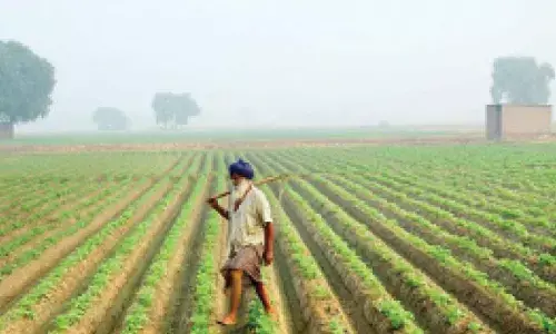 Rashtriya Lok Dal, Political violence, Property dispute, Shooting incident, Uttar Pradesh crime