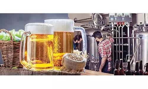 Produce more beer this summer, breweries told