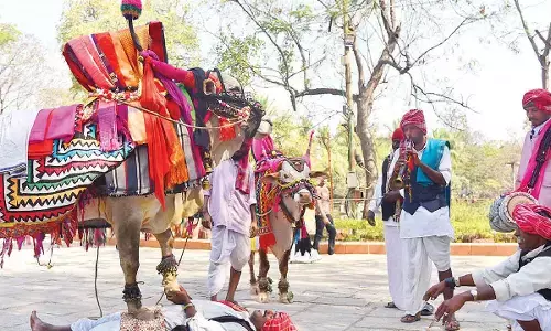 Shilparamam reverberates with Sankranti sambaralu