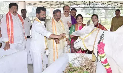 Goshala shed inaugurated