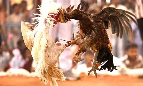 Vijayawada region emerges new hub