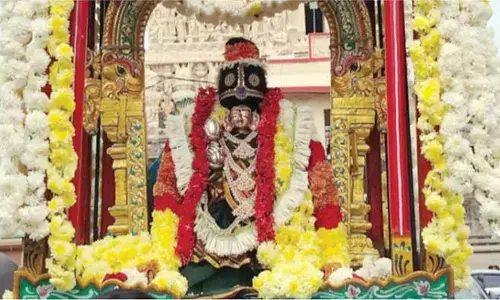 Sankranti returns to Nellore in grand style