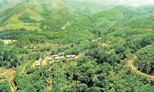 Forest Fire Risk Prompts Temporary Trekking Ban in Kudremukh Region