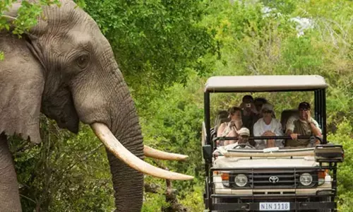 Karnataka Safari Suspension Triggers Tourism and Livelihood Crisis; KETRA Seeks Science Based Review and Phased Resumption With Safety Measures