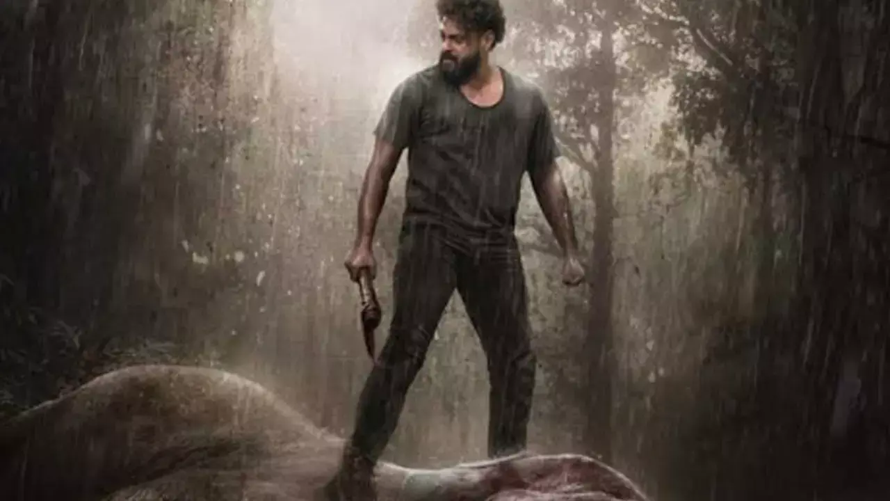 ‘Catalan’ second look stuns audiences