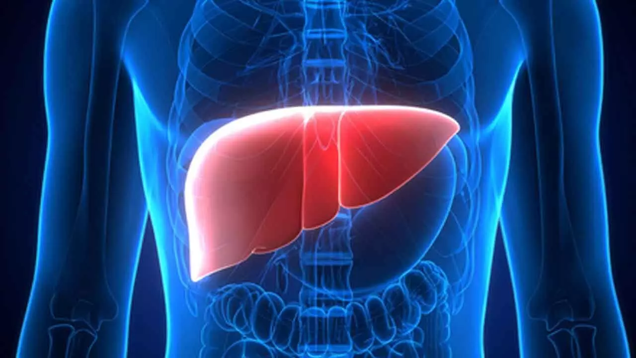 Your mouth bacteria can predict risk of chronic liver disease, says study Your mouth bacteria can predict risk of chronic liver disease, says study