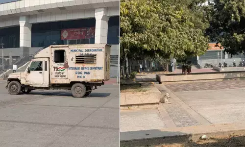 BWF India Open: After monkeys, stray dogs spotted at IG Sports Complex; dog van stationed at venue