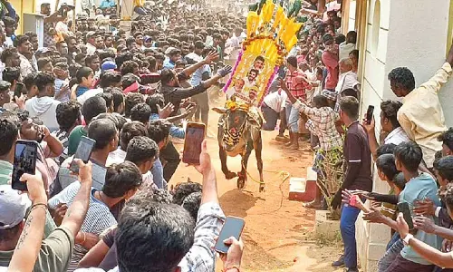 Bull-taming ‘Jallikattu’ draws crowds near Tirupati