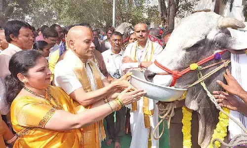 TTD celebrates Gopuja Mahotsavam on Kanuma