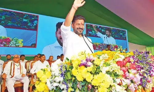 Vote for development in municipal elections