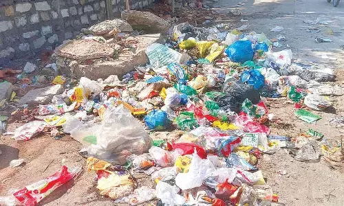 Rotting rubbish breeds woes in Uppal amid civic lapses