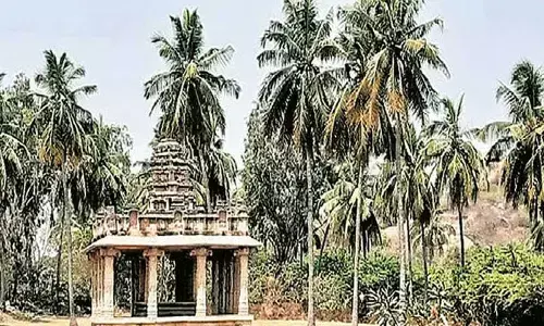 Activist alleges Rs one crore scam in ASI’s Hampi circle