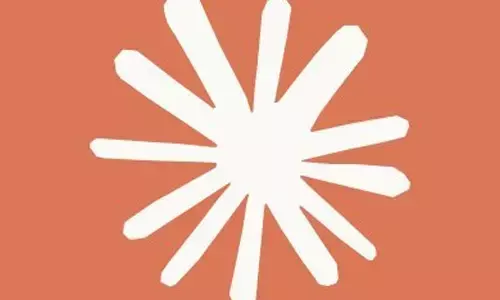 India ranks second globally in use of Claude.ai, largely for software development