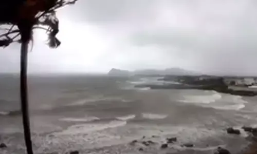 Woman killed by falling tree as powerful storms hit Sydney