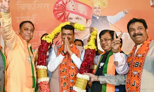 MNS biggest loser in tie-up with Uddhav Thackeray: CM Fadnavis