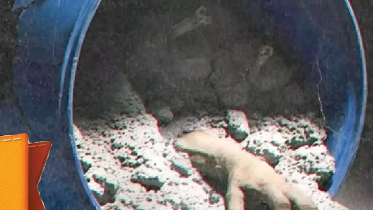 ‘Honeymoon Se Hatya’ review: Disturbing crimes, shallow insight