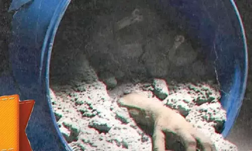 ‘Honeymoon Se Hatya’ review: Disturbing crimes, shallow insight