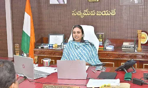 Collector sets February deadline for completing civil works