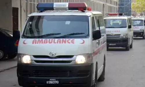 Pakistan: 103 people died from mosquito-borne diseases in Sindh province, last year