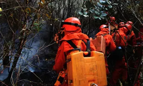 Wildfire rages for nearly 2 days in Chinas Yunnan