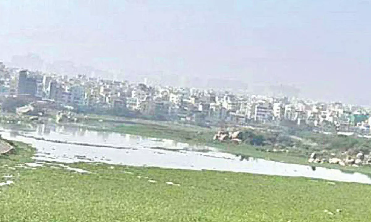 Neglected lakes keep residents awake Neglected lakes keep residents awake