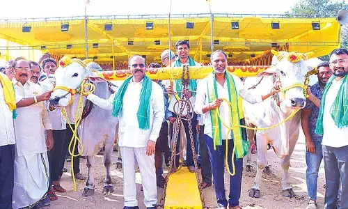 NTR took Telugu self-respect to the global level: Minister