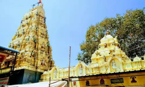 Many perform Rahu-Ketu puja