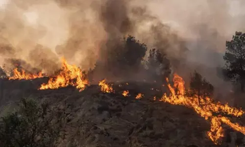 Emergency warning issued over South Australian grass fire