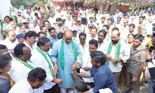 AP emerges livestock leader, launches animal health drive